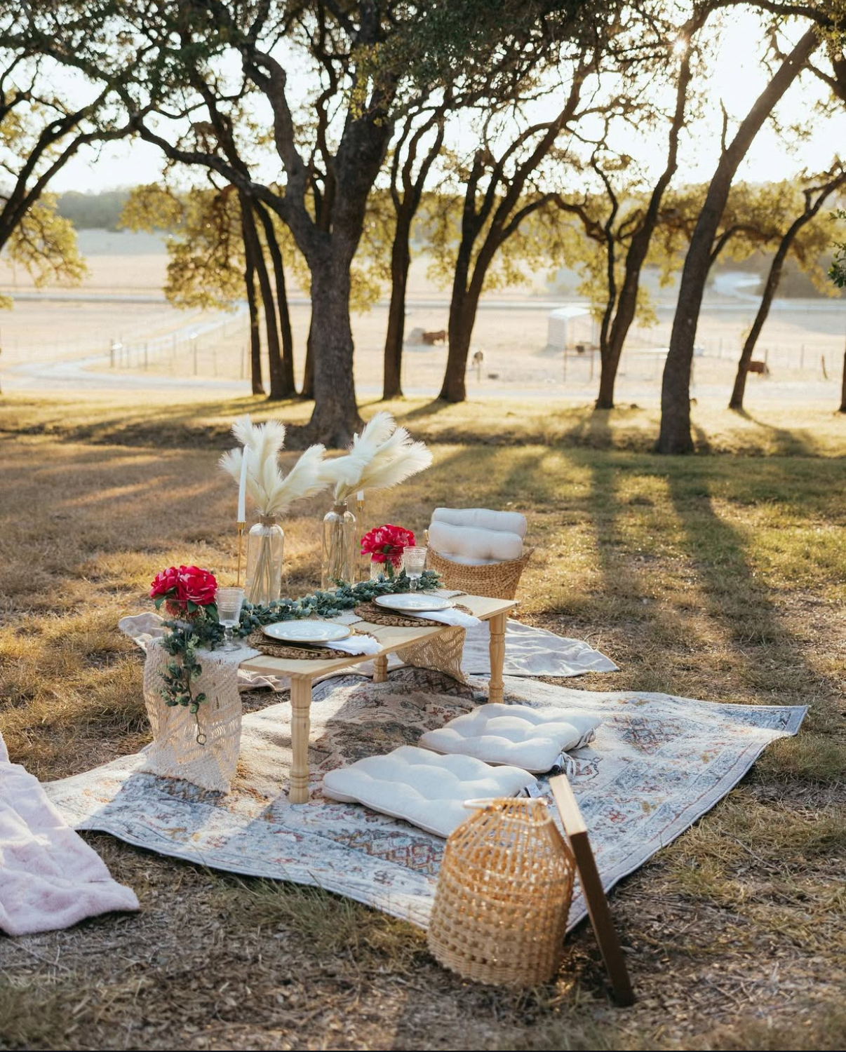 A detailed view of the cozy movie night picnic setup